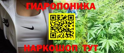 PSILOCYBIN Краснодар