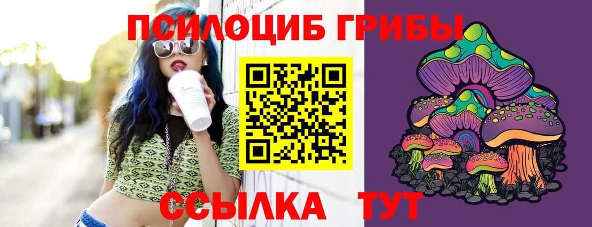 Галлюциногенные грибы Psilocybine cubensis  Вход с VPN  Кудрово  Галлюциногенные грибы Cubensis 